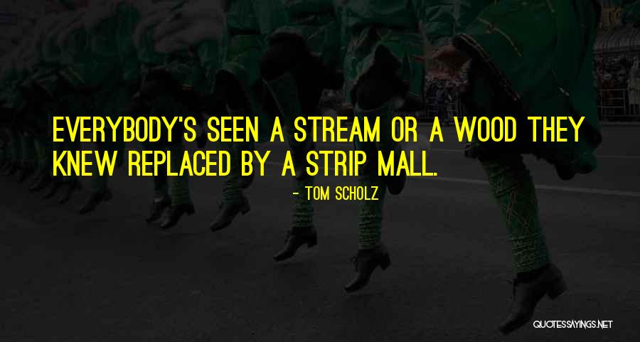 Flacks Quotes By Tom Scholz Flacks Quotes By Tom Scholz