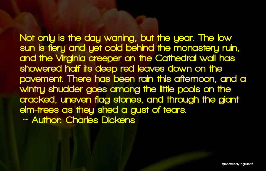 Flag Day Quotes By Charles Dickens