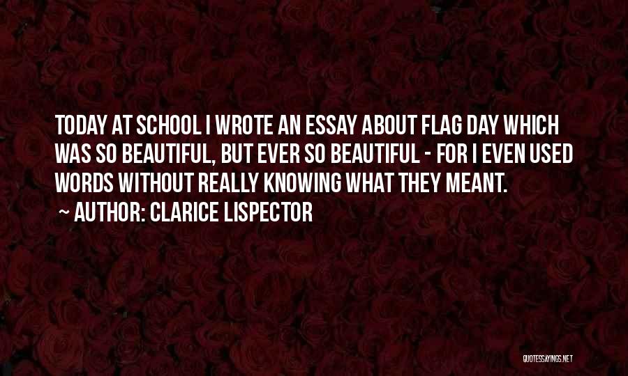 Flag Day Quotes By Clarice Lispector