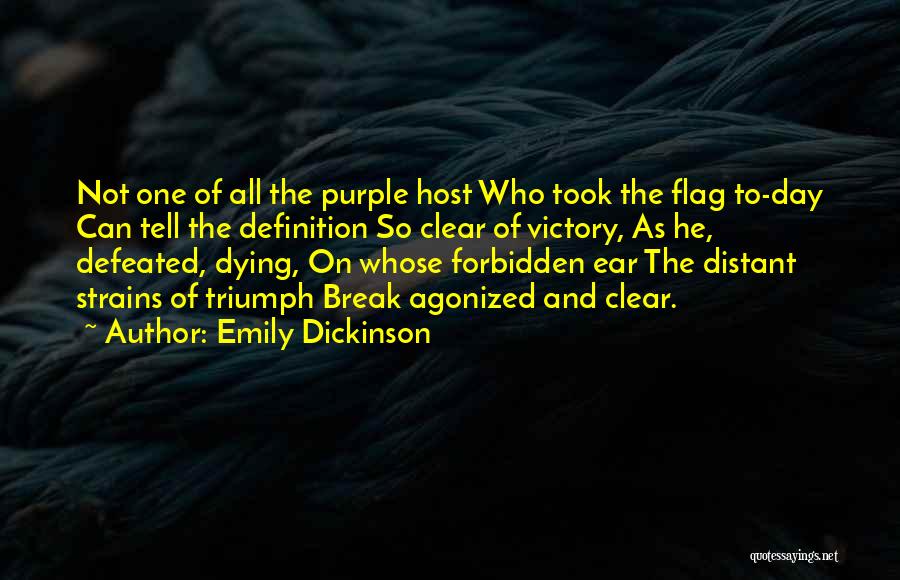 Flag Day Quotes By Emily Dickinson