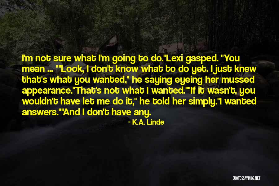 Flag Theatre Quotes By K.A. Linde Flag Theatre Quotes By K.A. Linde