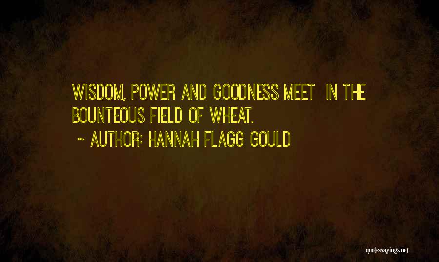 Flagg Quotes By Hannah Flagg Gould