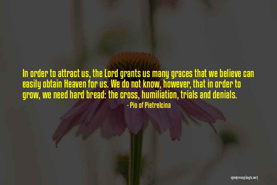 Flagged Synonym Quotes By Pio Of Pietrelcina Flagged Synonym Quotes By Pio Of Pietrelcina
