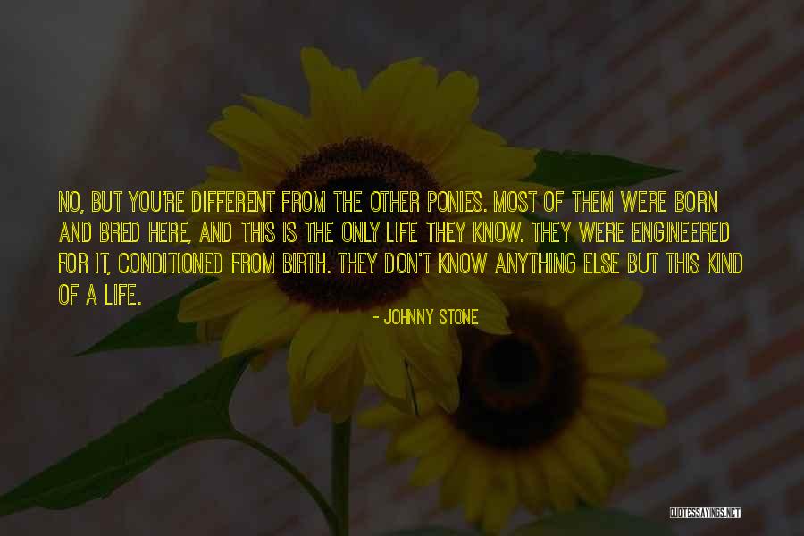 Flaggy Quotes By Johnny Stone Flaggy Quotes By Johnny Stone
