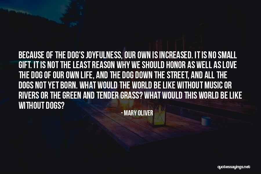 Flahive Cruise Quotes By Mary Oliver Flahive Cruise Quotes By Mary Oliver