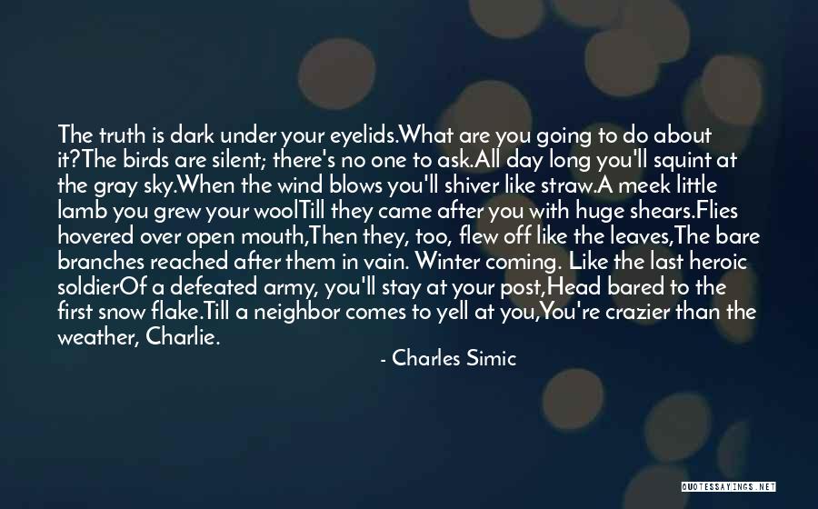 Flake Quotes By Charles Simic