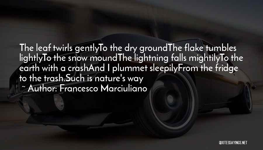 Flake Quotes By Francesco Marciuliano