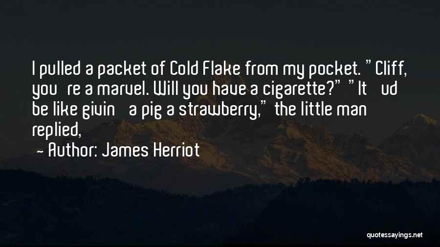 Flake Quotes By James Herriot