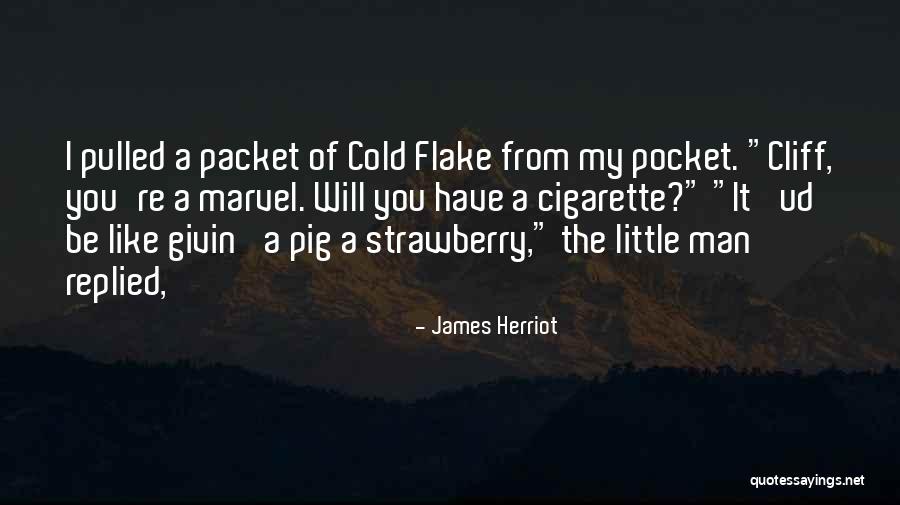 Flake Quotes By James Herriot