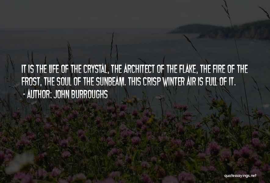 Flake Quotes By John Burroughs