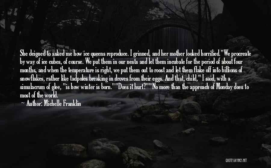 Flake Quotes By Michelle Franklin