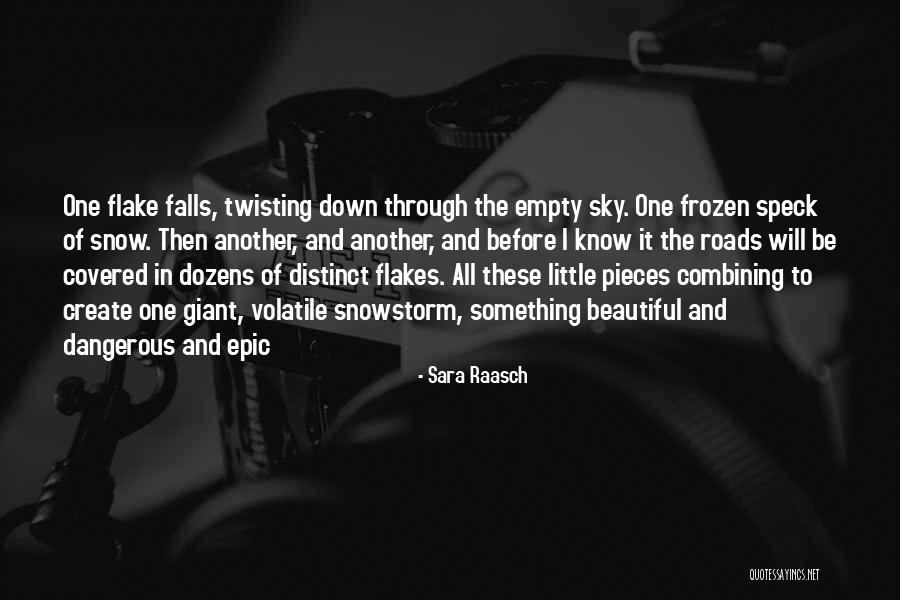 Flake Quotes By Sara Raasch