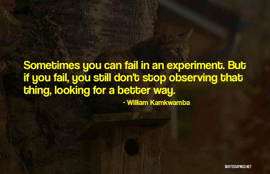 Flamante Tile Quotes By William Kamkwamba Flamante Tile Quotes By William Kamkwamba