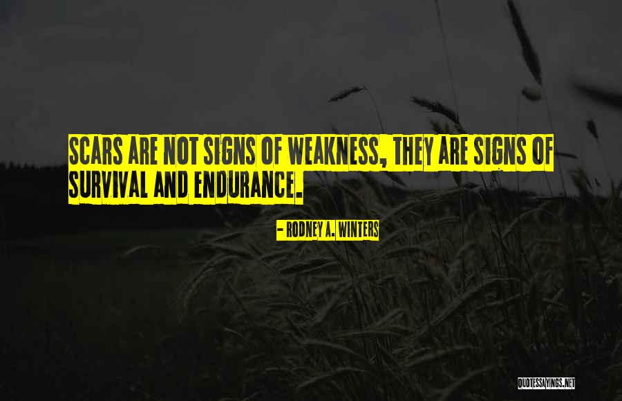 Flambeaux Bicycle Quotes By Rodney A. Winters Flambeaux Bicycle Quotes By Rodney A. Winters
