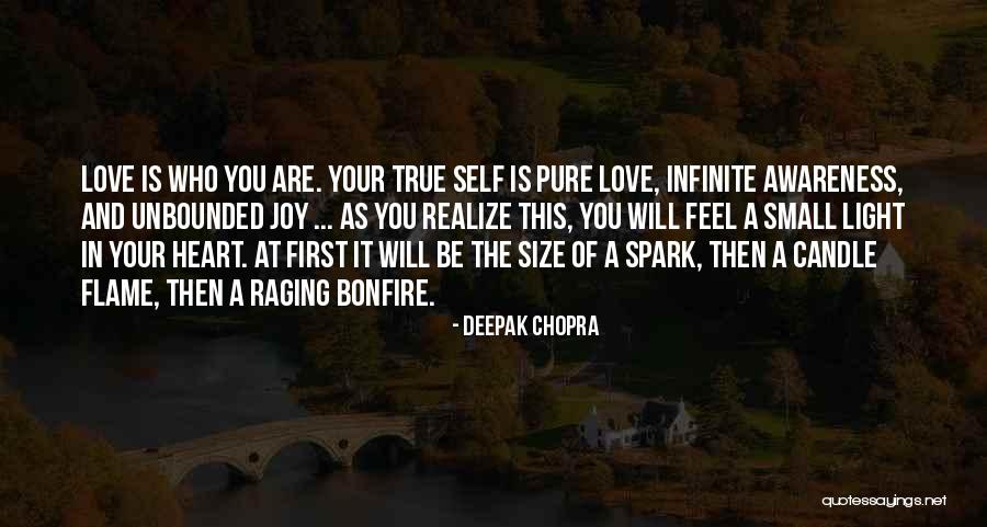 Flame And Love Quotes By Deepak Chopra