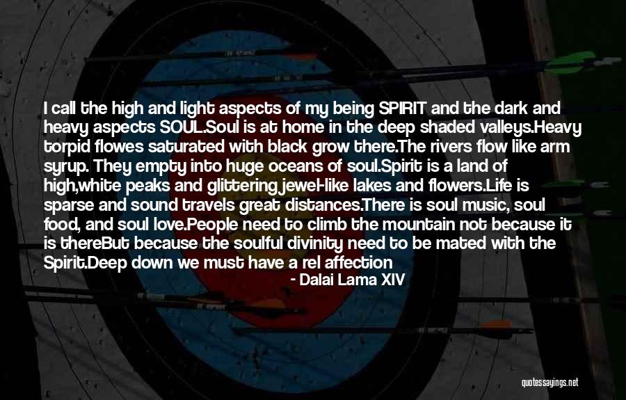 Flame Like Light Quotes By Dalai Lama XIV Flame Like Light Quotes By Dalai Lama XIV