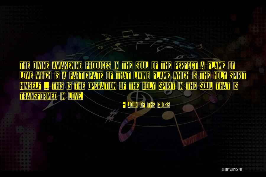 Flames In Love Quotes By John Of The Cross Flames In Love Quotes By John Of The Cross