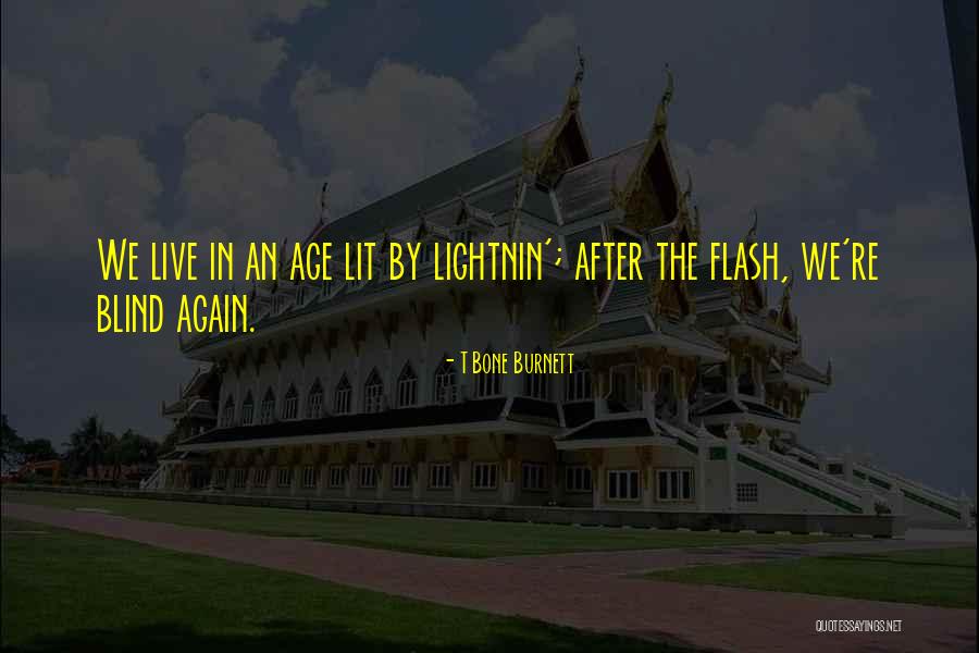 Flames Series Quotes By T Bone Burnett