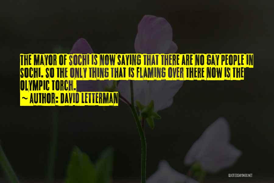 Flaming Gay Quotes By David Letterman