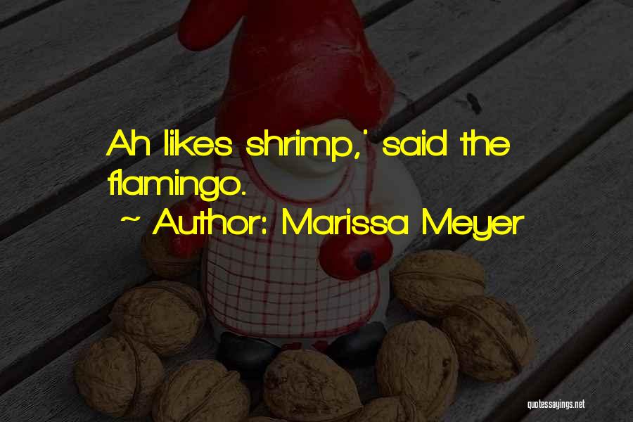 Flamingo Quotes By Marissa Meyer