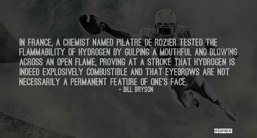Flammability Quotes By Bill Bryson Flammability Quotes By Bill Bryson