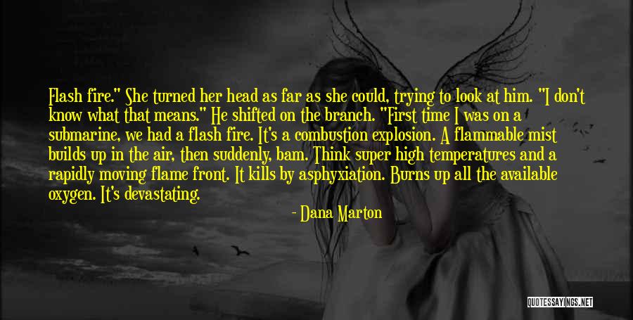 Flammable Quotes By Dana Marton