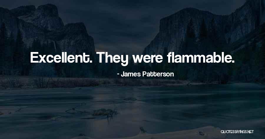 Flammable Quotes By James Patterson