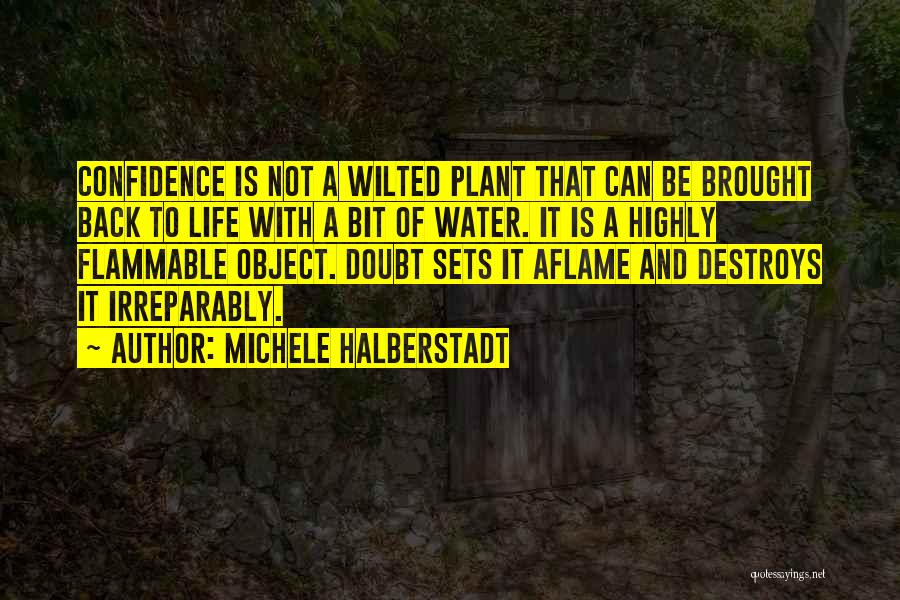 Flammable Quotes By Michele Halberstadt