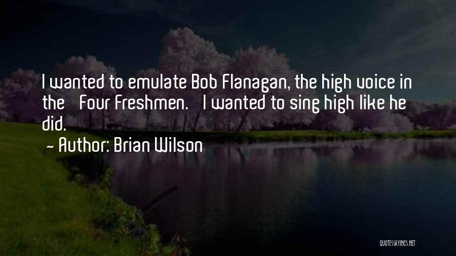 Flanagan Quotes By Brian Wilson