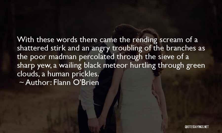 Flann O'Brien Quotes 1131534