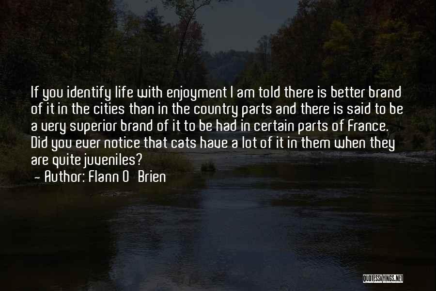 Flann O'Brien Quotes 1359508