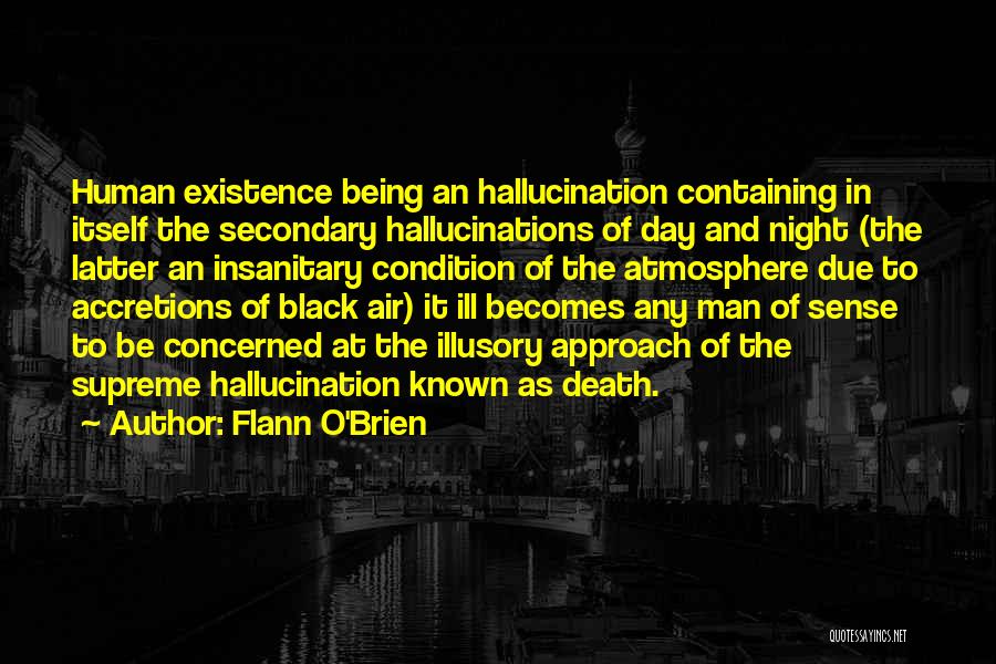 Flann O'Brien Quotes 1839135