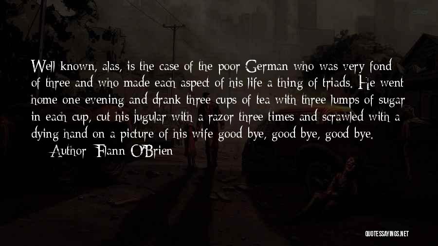 Flann O'Brien Quotes 2161626