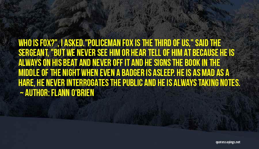 Flann O'Brien Quotes 2217673