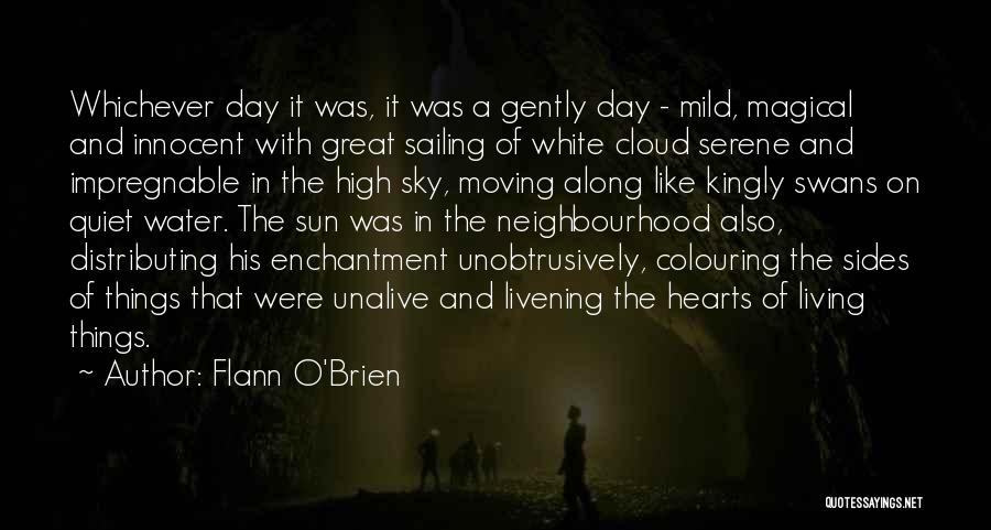 Flann O'Brien Quotes 2244612