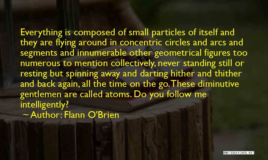 Flann O'Brien Quotes 254713