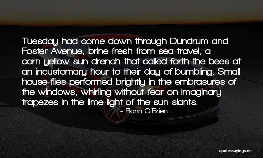 Flann Quotes By Flann O'Brien Flann Quotes By Flann O'Brien