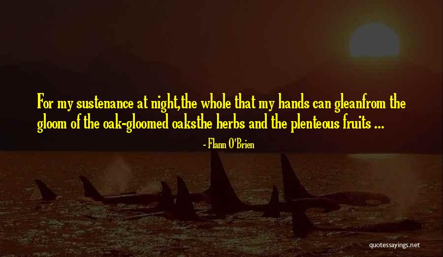 Flann Quotes By Flann O'Brien Flann Quotes By Flann O'Brien