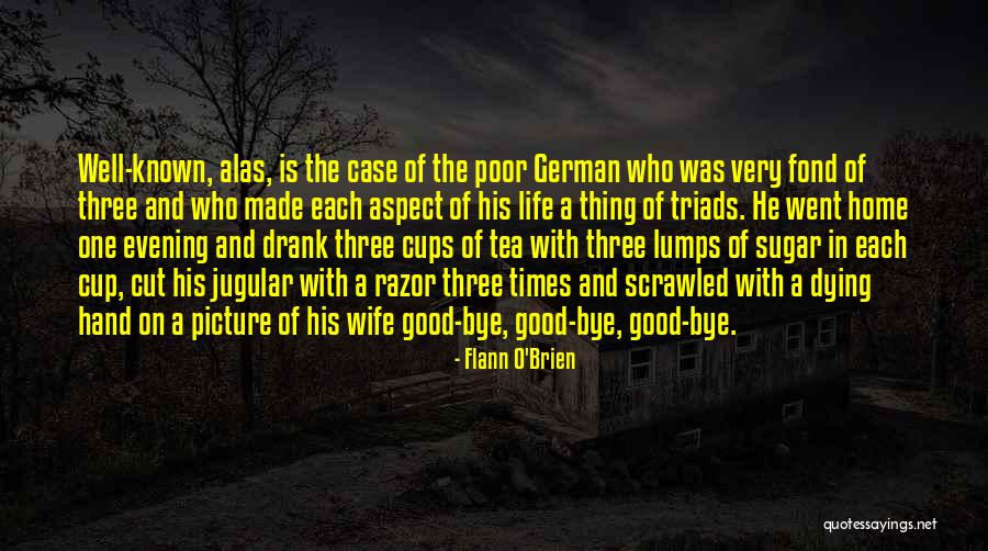Flann Quotes By Flann O'Brien Flann Quotes By Flann O'Brien