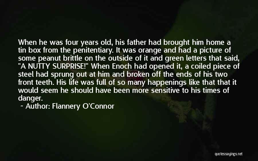 Flannery Quotes By Flannery O'Connor