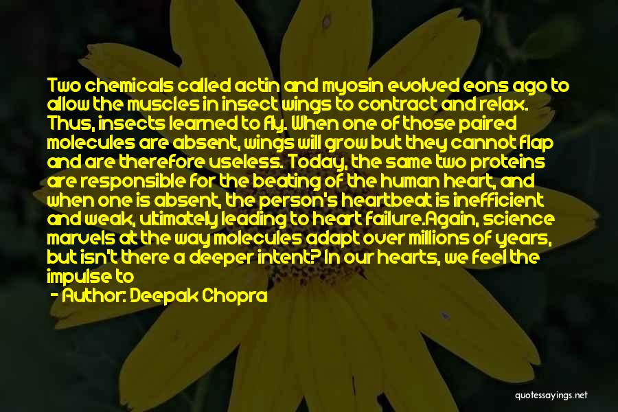 Flap Your Wings Quotes By Deepak Chopra