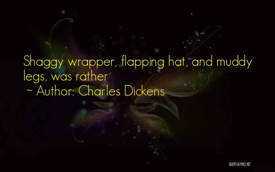 Flapping Quotes By Charles Dickens