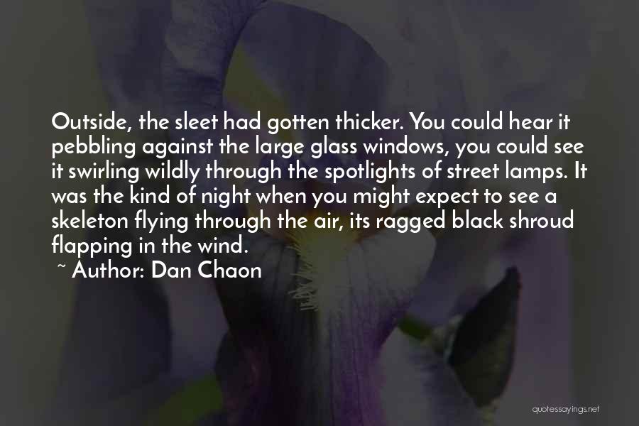 Flapping Quotes By Dan Chaon