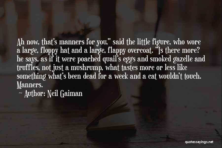 Flappy Quotes By Neil Gaiman