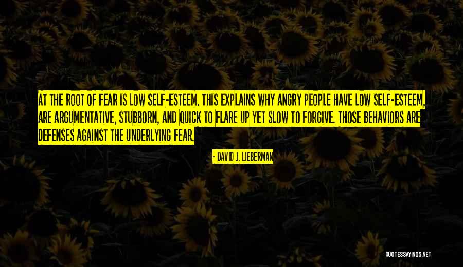 Flare Of Quotes By David J. Lieberman Flare Of Quotes By David J. Lieberman