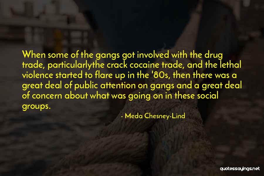 Flare Quotes By Meda Chesney-Lind