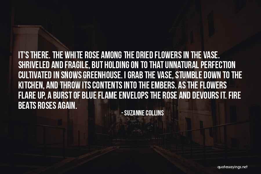 Flare Quotes By Suzanne Collins