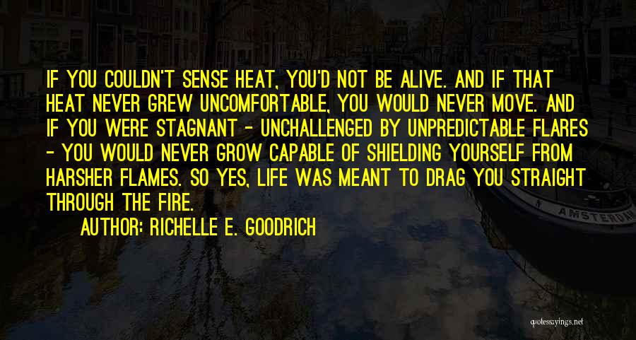 Flares Quotes By Richelle E. Goodrich