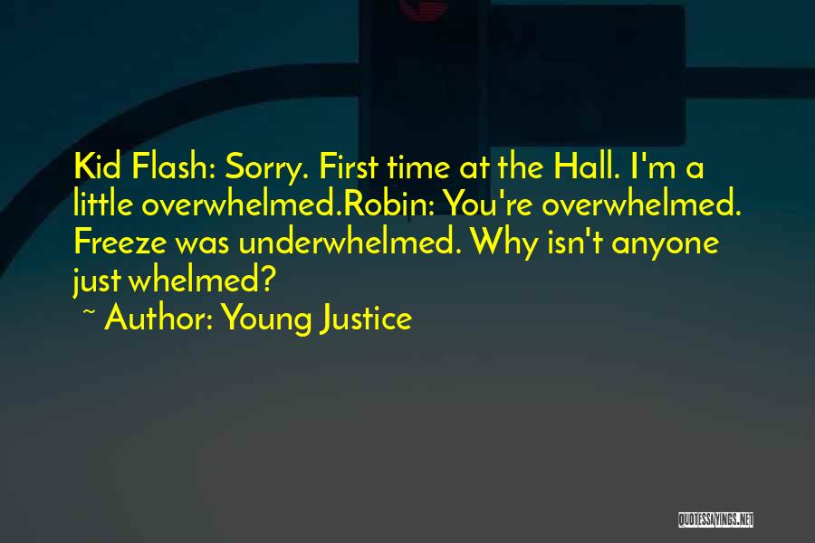 Flash Dc Quotes By Young Justice
