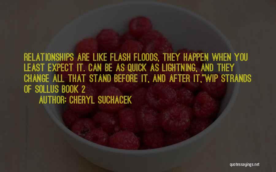 Flash Floods Quotes By Cheryl Suchacek